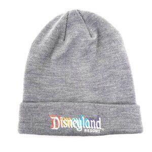 Disneyland Resort Gray Knit Beanie Hat Ski Cap 3D Embroidered Logo Disney Adult
